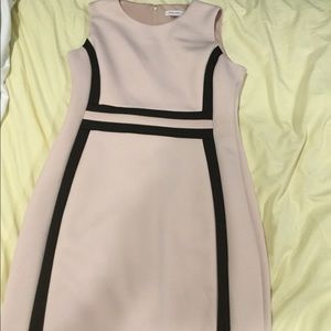 Calvin Klein Sheath Dress (12)